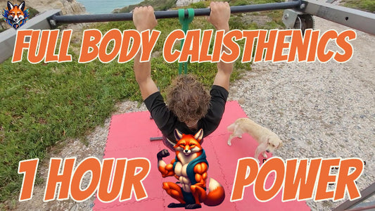 Calisthenics Workout #5 - Praia De Rei Cortico - Portugal - Foxing Fit [1 hour]