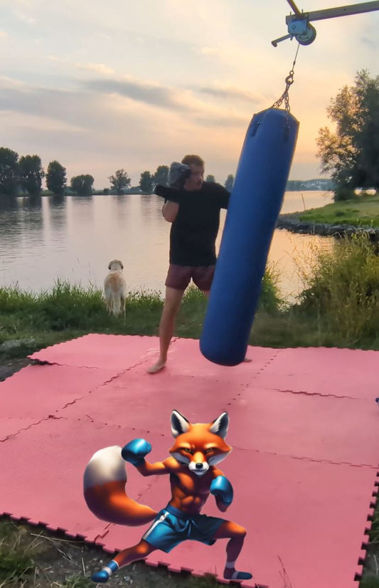 All Round Bokszaktraining #2: Bergse Maas - Foxing Fit - [1 uur]