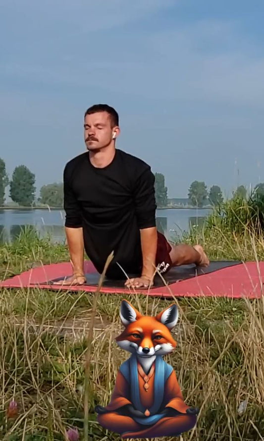 All Round Power Yoga Les #2: Bergse Maas - Foxing Fit - [45 min]