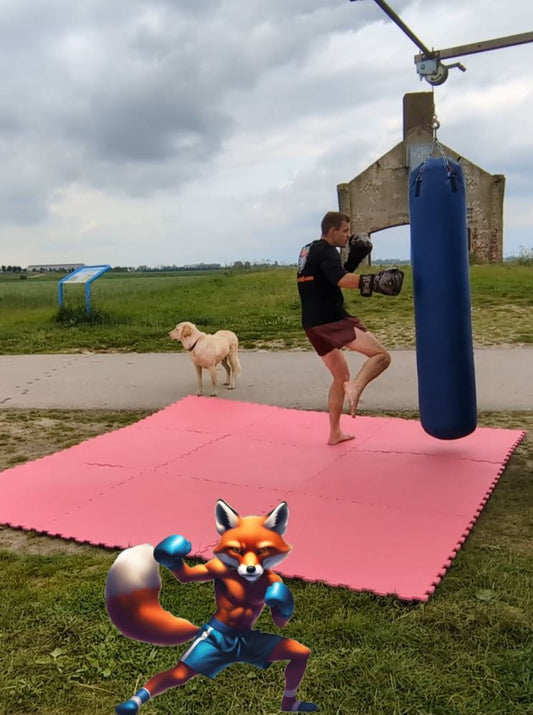 All Round Bokszaktraining #1: Oude Gemaal gantel - Foxing Fit - [1 uur]