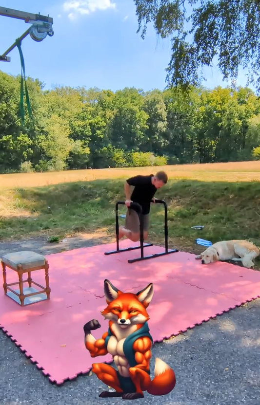 All round Calisthenics Les #1 : Lido Waalwijk - Foxing Fit - [1 uur]