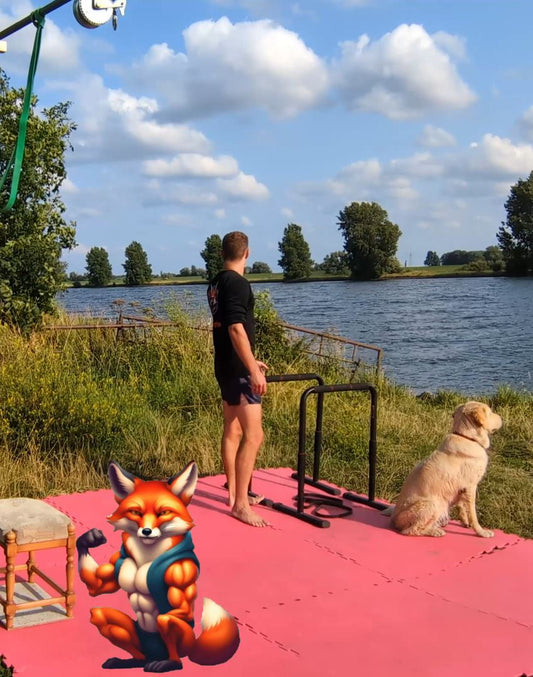 All Round Calisthenics les #2: Bergse Maas - Foxing Fit - [1 uur]